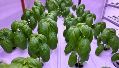 Susfarm_web images_service-1 Susfarm_web images_service-1