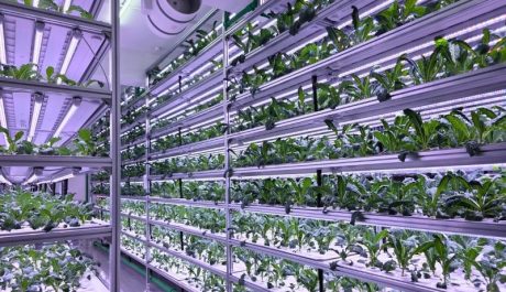 Susfarm_web images_service-2